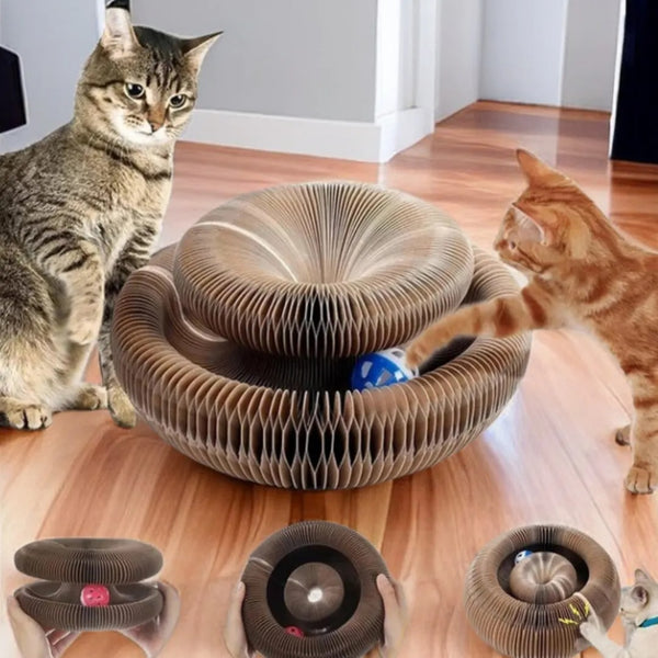 Cat Donut scratcher toy