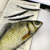 Fish Pouch